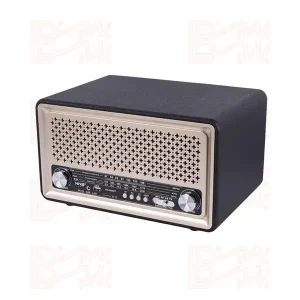 اسپیکر بلوتوثی رادیو مدلNNS NS-6690BT